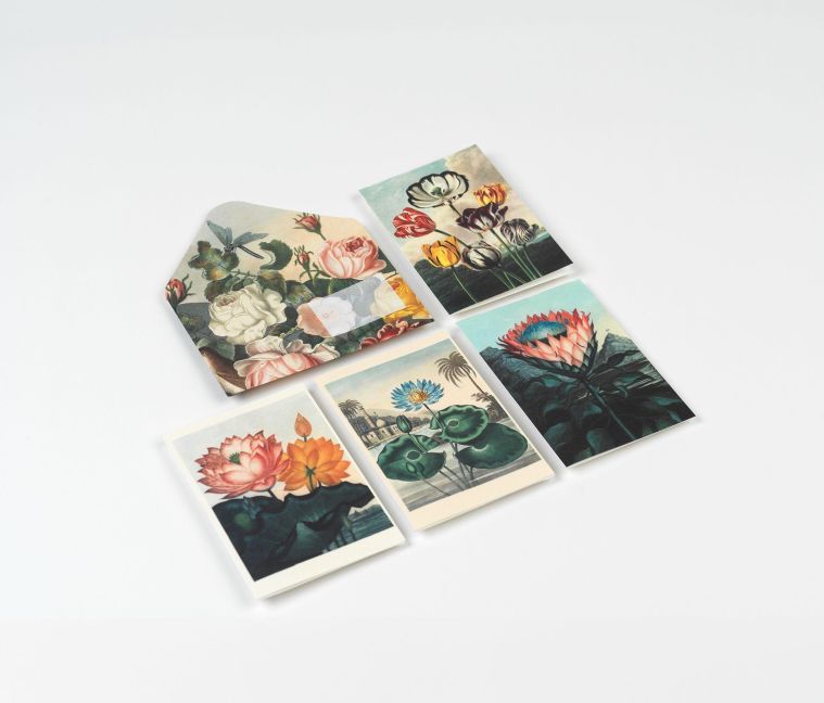 InsideView 6
