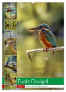 Cover-Bild zum Titel 'Bunte Eisvögel (Wandkalender 2027 DIN A2 hoch), CALVENDO Monatskalender' von 'Torsten Irmer'
