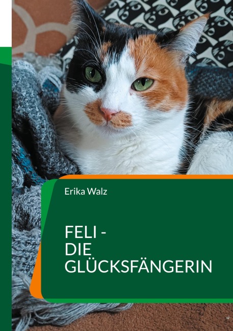 Feli - die Glücksfängerin - Erika Walz