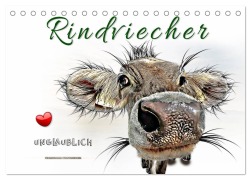 Rindviecher unglaublich (Tischkalender 2026 DIN A5 quer), CALVENDO Monatskalender - Peter Roder