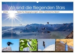 Wir sind die fliegenden Stars (Wandkalender 2026 DIN A2 quer), CALVENDO Monatskalender - Christa Kramer