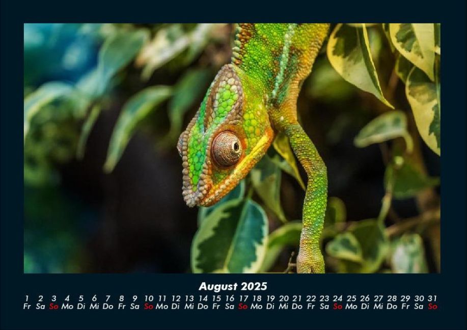 InsideView 12