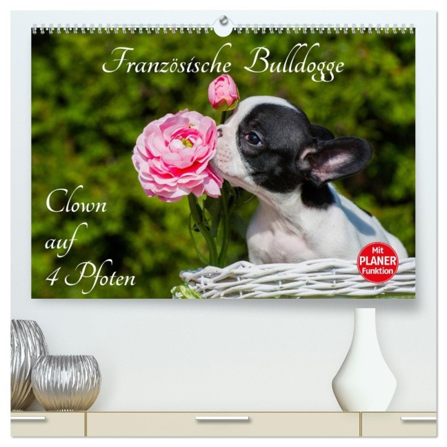 Französische Bulldogge - Clown auf 4 Pfoten (hochwertiger Premium Wandkalender 2026 DIN A2 quer), Kunstdruck in Hochglanz - Sigrid Starick