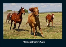 Cover-Bild zum Titel 'Pferdegeflüster 2025 Fotokalender DIN A4' von 'Tobias Becker'