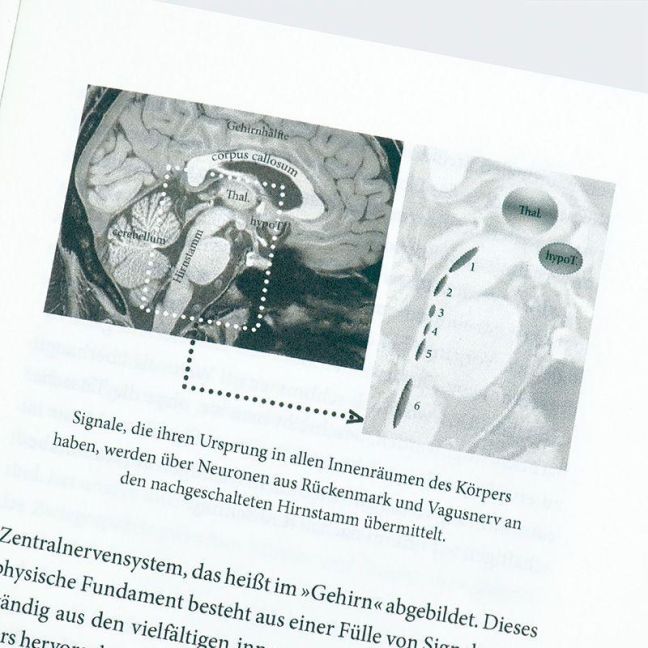 InsideView 6
