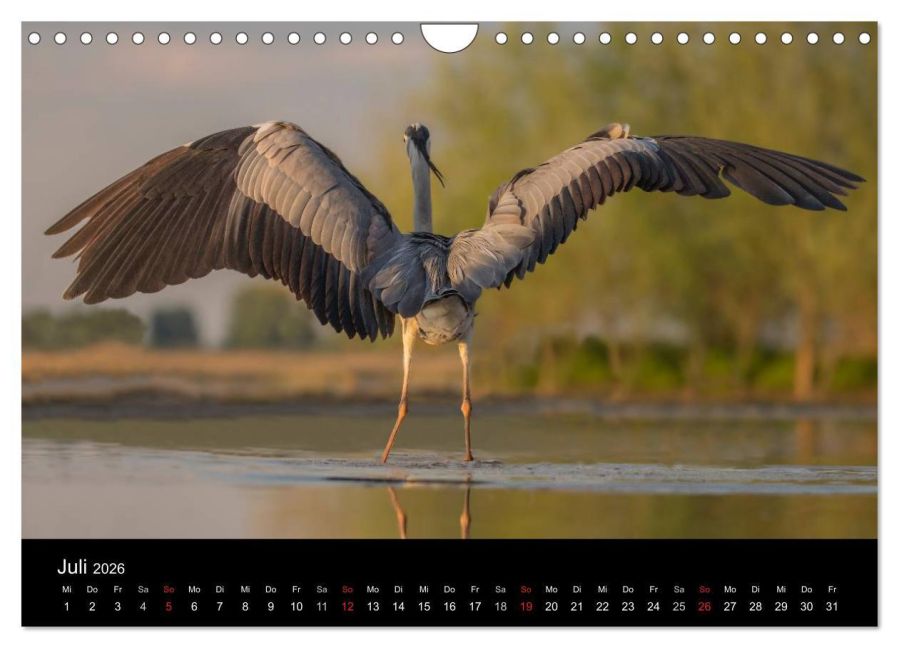 InsideView 12