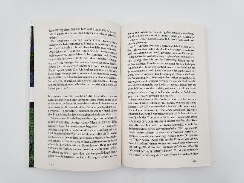 InsideView 5