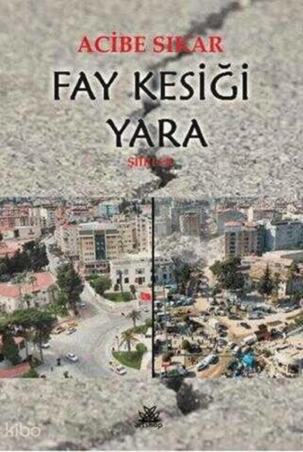 Fay Kesigi Yara - Acibe Sikar