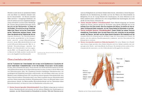 InsideView 5