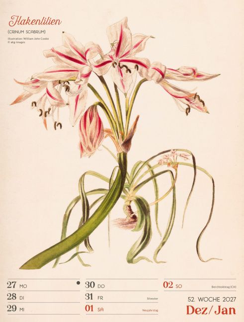 InsideView 56
