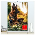 Deutscher Schäferhund - mutig und zuverlässig (hochwertiger Premium Wandkalender 2025 DIN A2 hoch), Kunstdruck in Hochglanz - Peter Roder