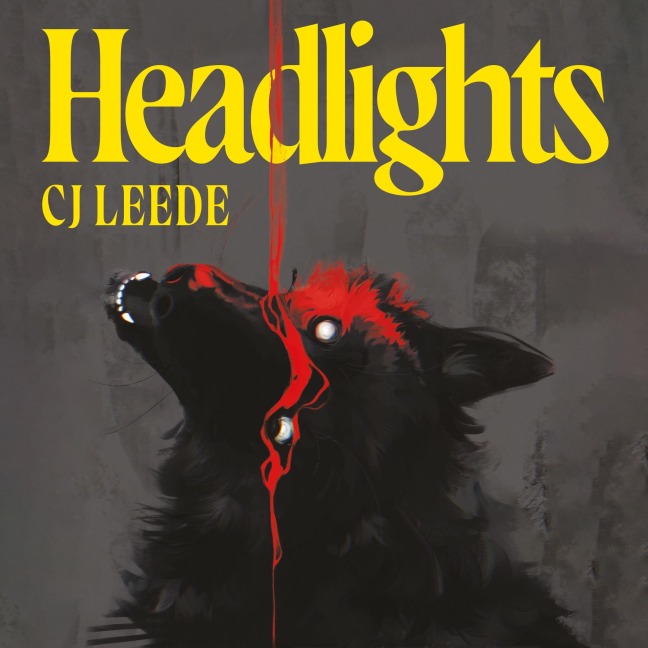 Headlights - Cj Leede