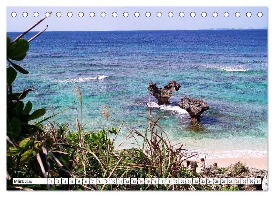 InsideView 8