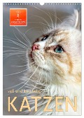 Katzen - süß und kuschelig (Wandkalender 2025 DIN A3 hoch), CALVENDO Monatskalender - Peter Roder