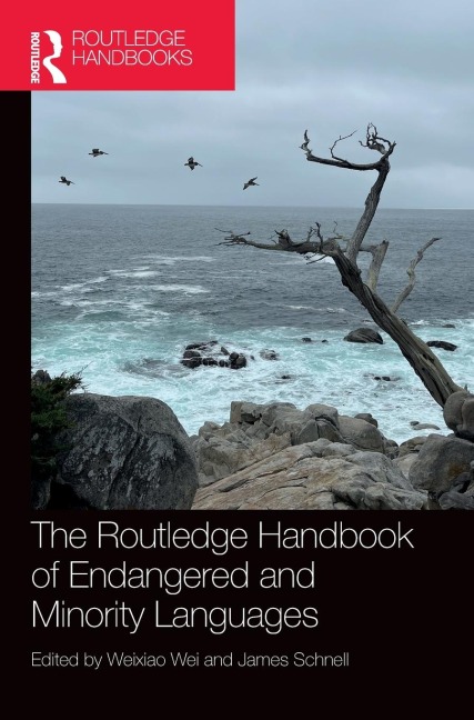 The Routledge Handbook of Endangered and Minority Languages - 