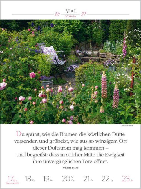 InsideView 7