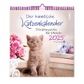 Der himmlische Katzenkalender 2025 - Heike Wendler