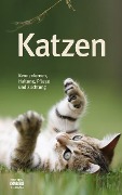 Katzen - 