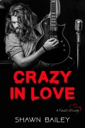 Cover-Bild zum Titel 'Crazy In Love' von 'Shawn Bailey'