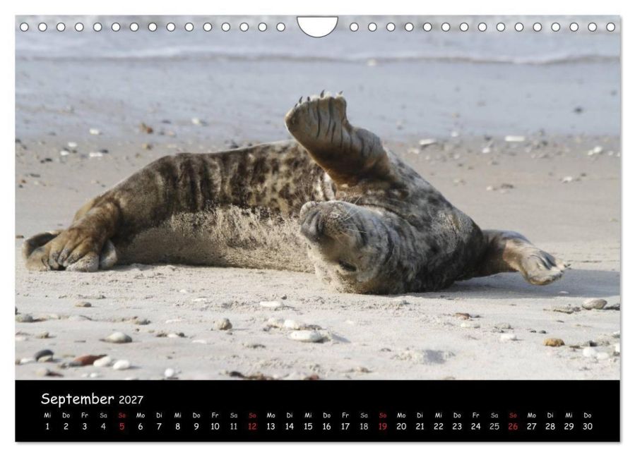 InsideView 14
