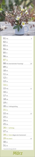 InsideView 3