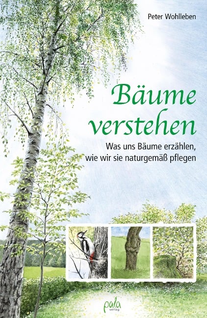 Bäume verstehen - Peter Wohlleben