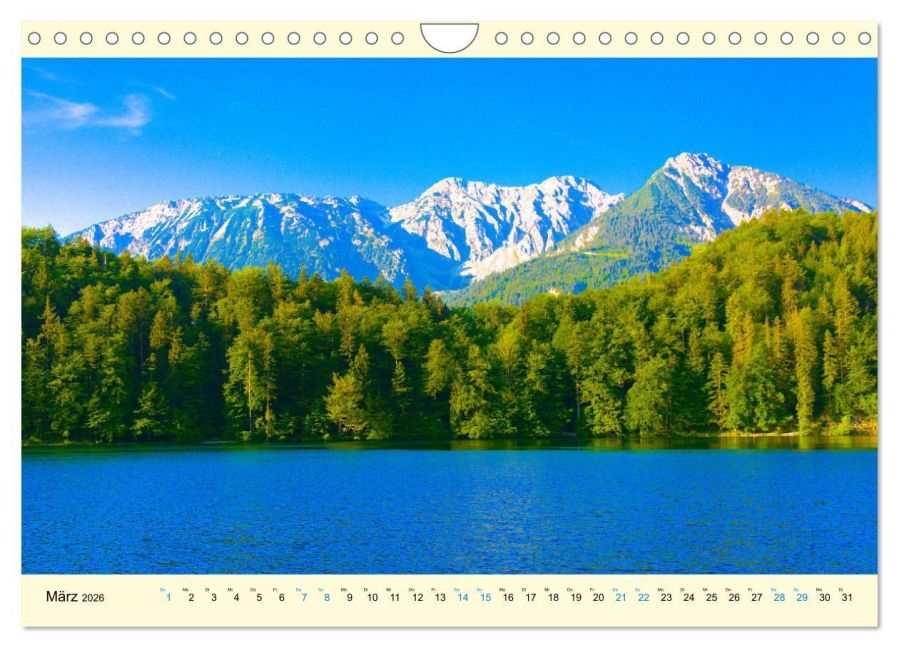 InsideView 8