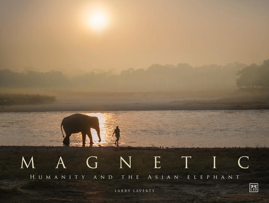 Magnetic - Larry Laverty
