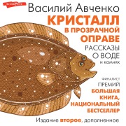 Cover-Bild zum Titel 'Kristall v prozrachnoy oprave. Rasskazy o vode i kamnyah' von 'Vasily Avchenko'