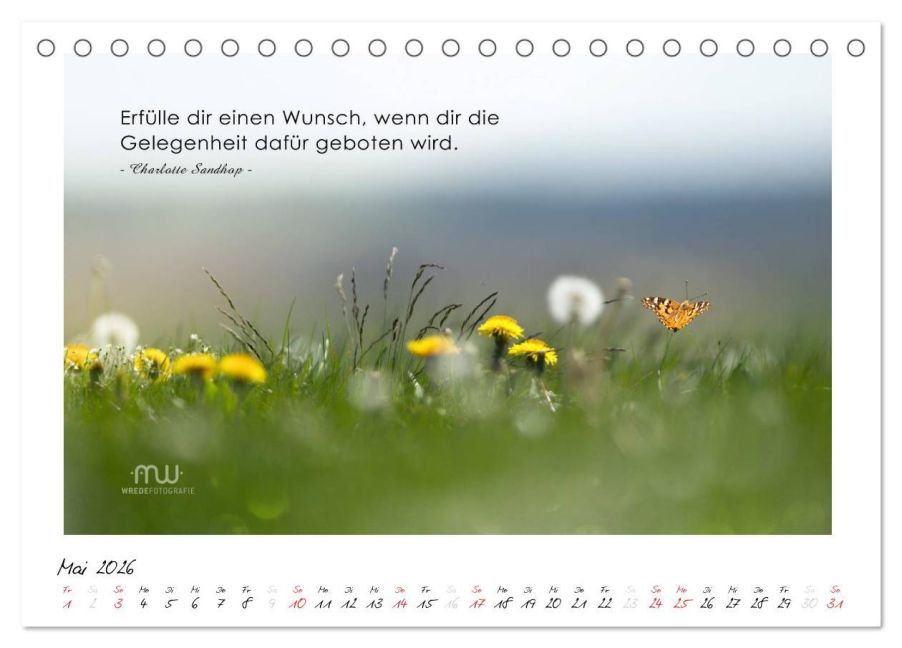 InsideView 10