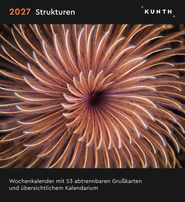 Strukturen - KUNTH Postkartenkalender 2027 - 