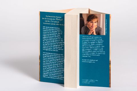 InsideView 6
