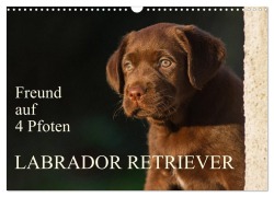 Cover-Bild zum Titel 'Freund auf 4 Pfoten - Labrador Retriever (Wandkalender 2027 DIN A3 quer), CALVENDO Monatskalender' von 'Sigrid Starick'