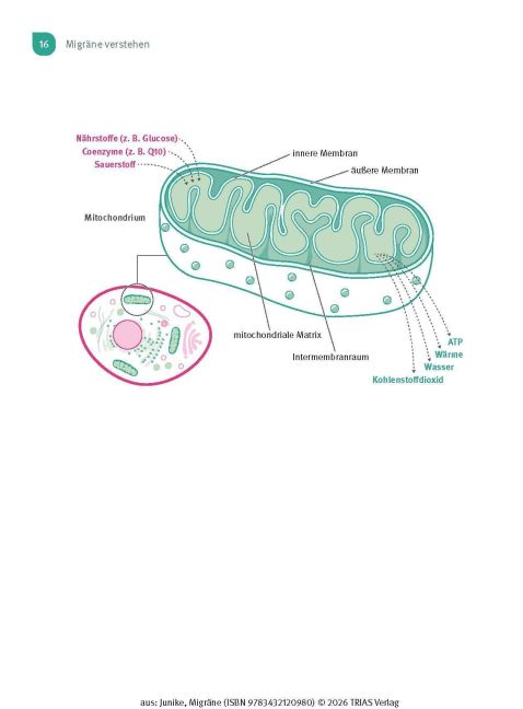 InsideView 10