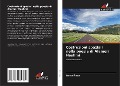 Cover-Bild zum Titel 'Costruzioni spaziali nella poesia di Alamgir Hashmi' von 'Amra Raza'