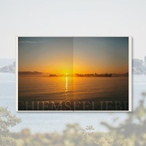 InsideView 6