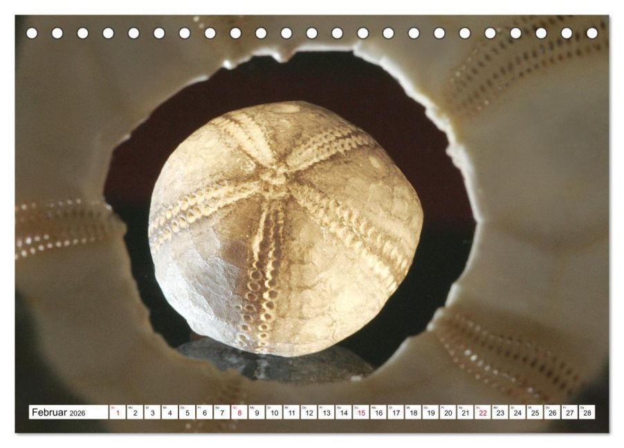 InsideView 7