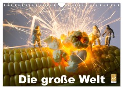 Cover-Bild zum Titel 'Die große Welt (Wandkalender 2026 DIN A4 quer), CALVENDO Monatskalender' von 'Holger Rochow'