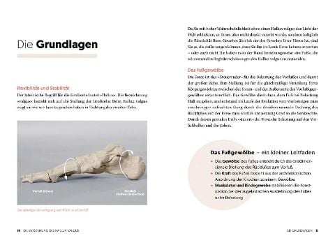 InsideView 2