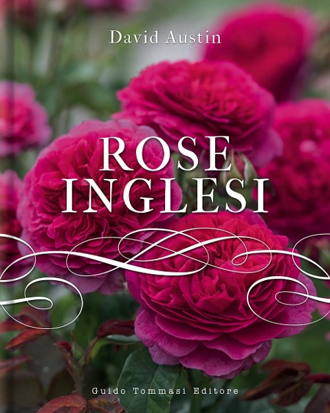Rose inglesi - David Austin