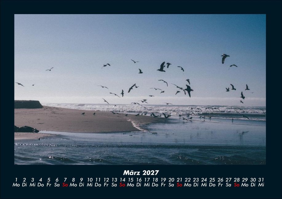 InsideView 7