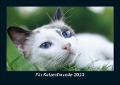 Für Katzenfreunde 2023 Fotokalender DIN A5 - Tobias Becker