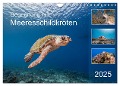 Begegnung mit Meeresschildkröten (Wandkalender 2025 DIN A4 quer), CALVENDO Monatskalender - Yvonne Tilo Kühnast - naturepics