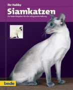 Ihr Hobby Siamkatzen - 