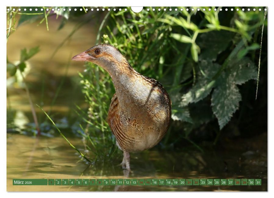InsideView 8