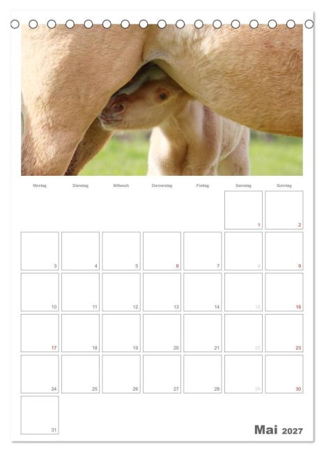 InsideView 10
