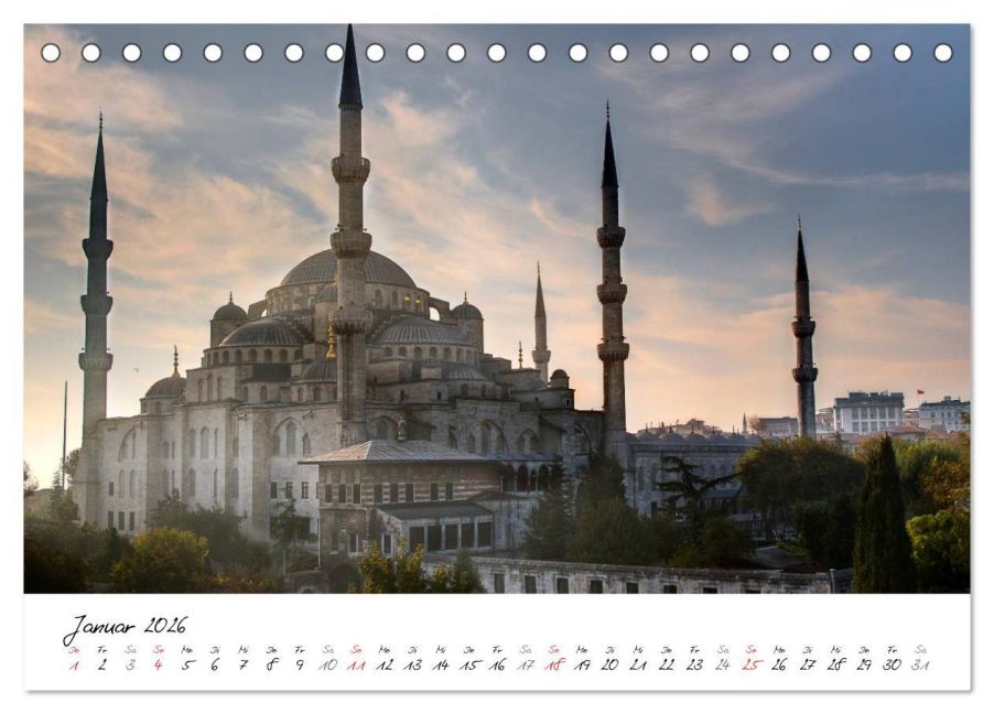 InsideView 6