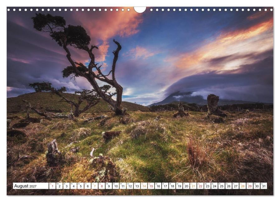 InsideView 13