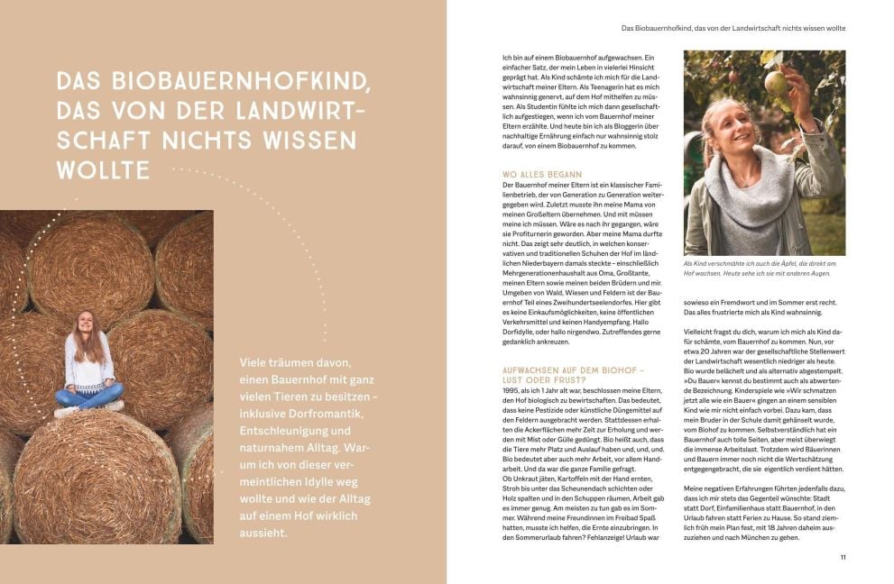 InsideView 3