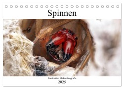 Faszination Makrofotografie: Spinnen (Tischkalender 2025 DIN A5 quer), CALVENDO Monatskalender - Alexander Mett Photography